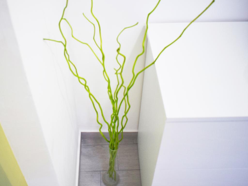Shower Shows Marsala Exterior photo